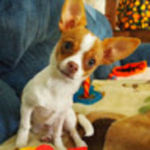 Meet your Posher, Tim